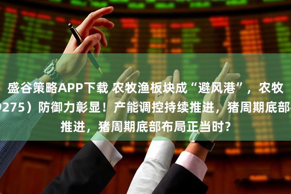 盛谷策略APP下载 农牧渔板块成“避风港”,农牧渔ETF(159275)防御力彰显!产能调控持续推进,猪周期底部布局正当时?