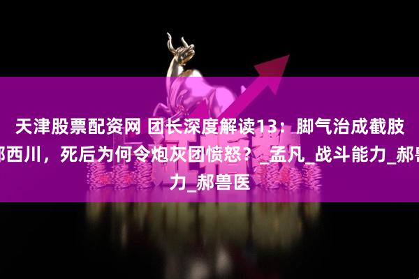 天津股票配资网 团长深度解读13：脚气治成截肢的郝西川，死后为何令炮灰团愤怒？_孟凡_战斗能力_郝兽医
